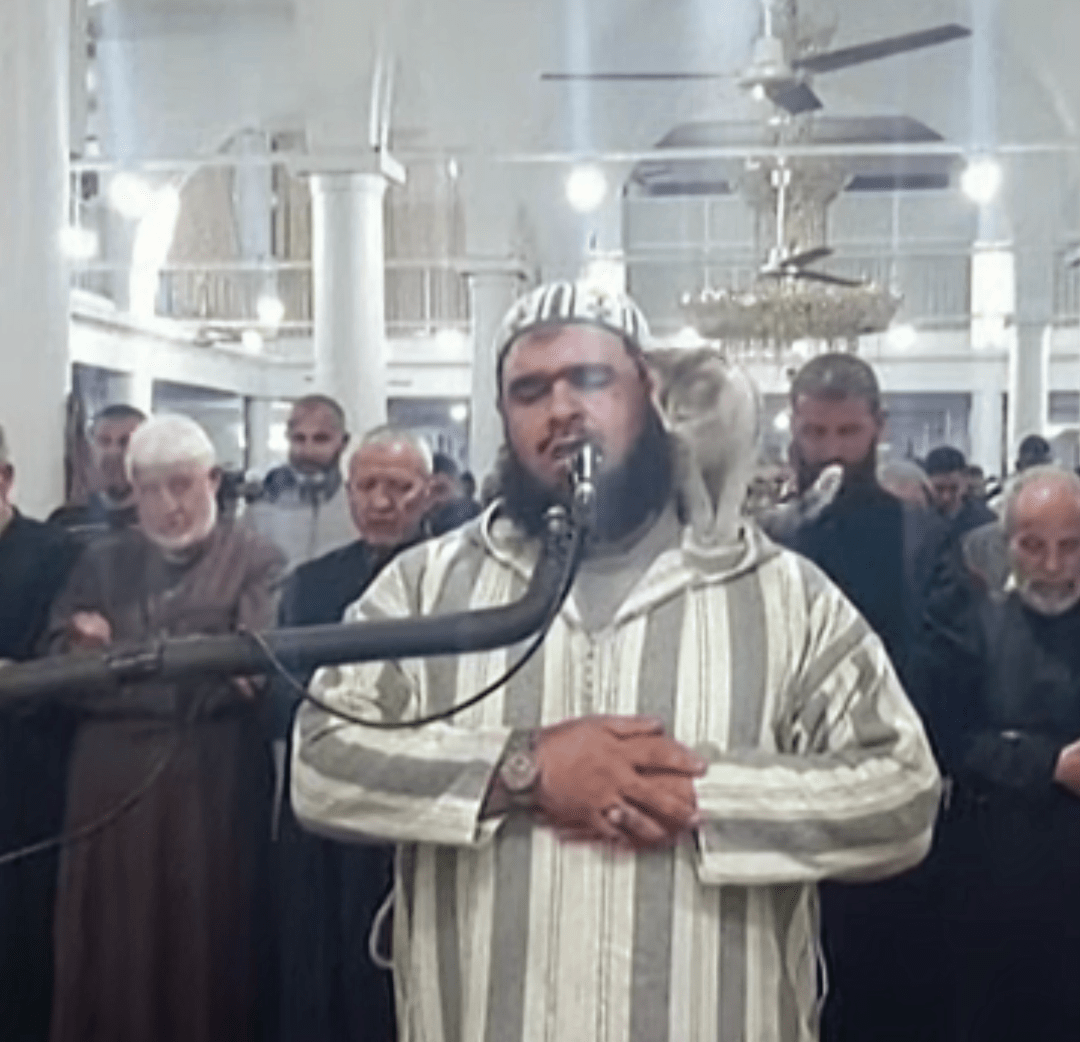 Kitty Climbs On Imam, Demands Pets During Ramadan&nbsp;Prayer