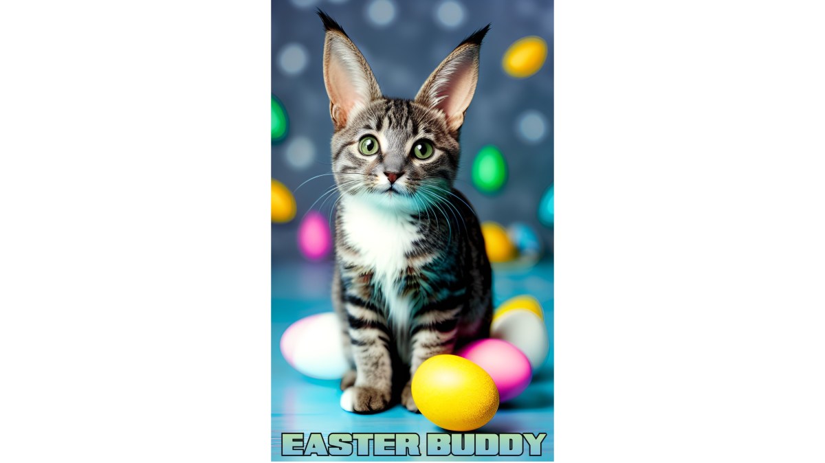 Happy Easter From The Easter&nbsp;Buddy!