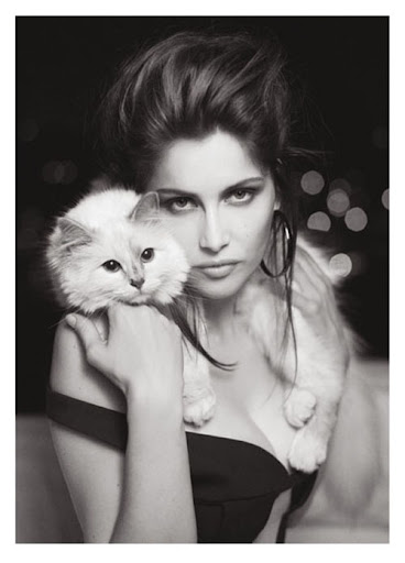 V-Magazine-Choupette-1