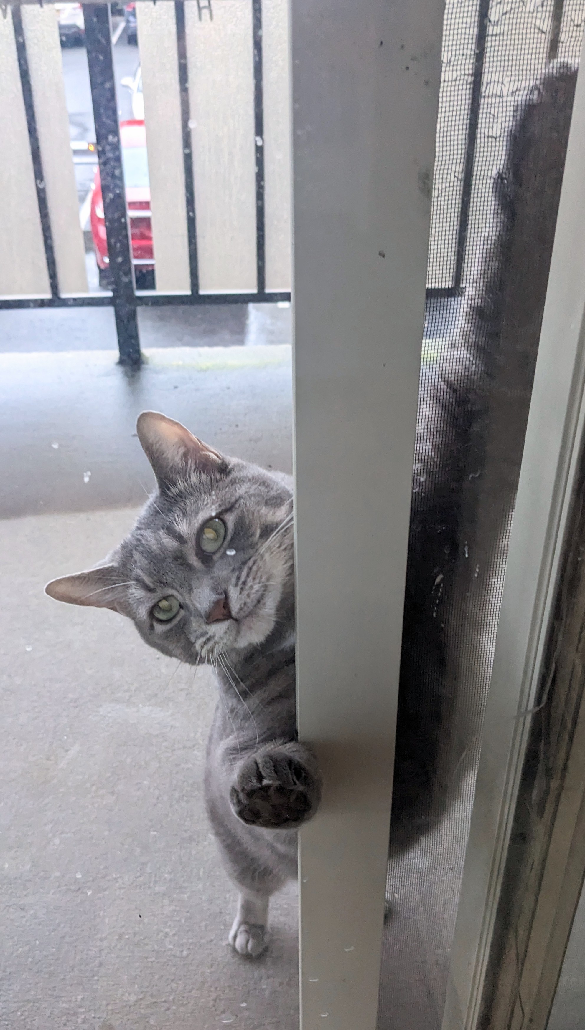 PXL_20230520_230803473~2