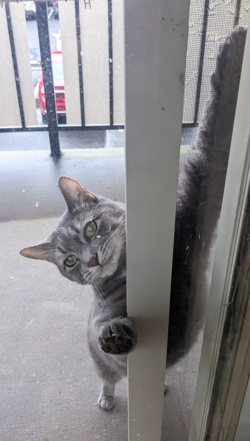 PXL_20230520_230803473~2