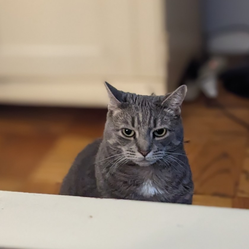 PXL_20230521_003757806.PORTRAIT~2