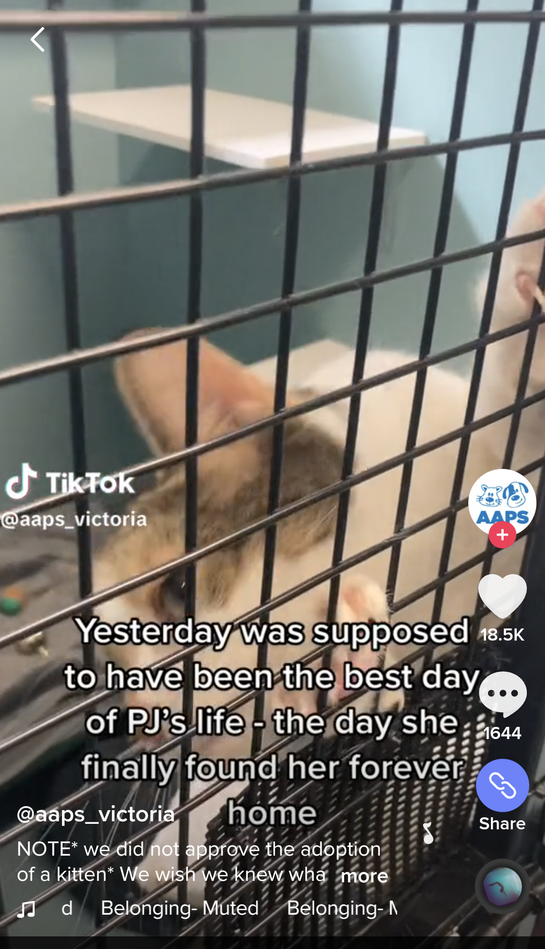 Screenshot_20230503-032026~2