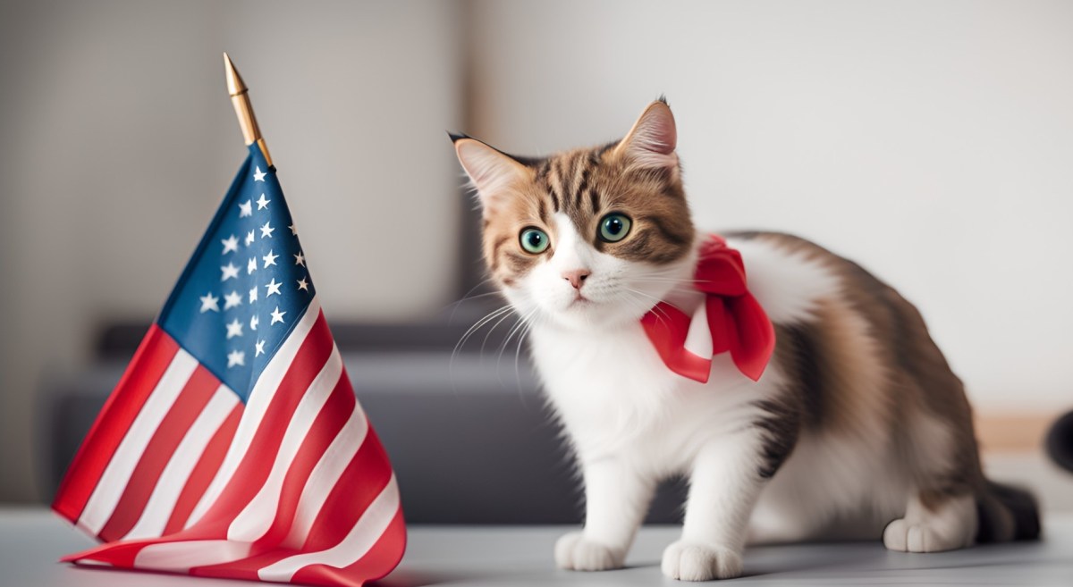 Pawtriotic Americats: Vote For&nbsp;Buddy!