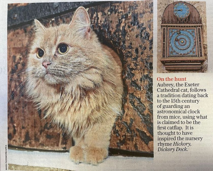 365692370_686569446830535_5166972407635373821_n