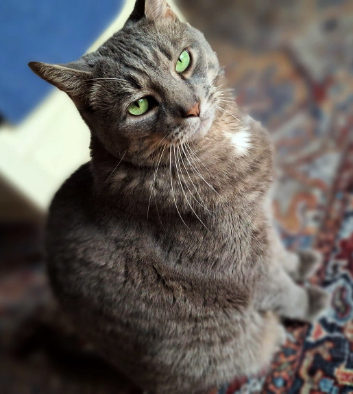 buddyoct2023_cropped