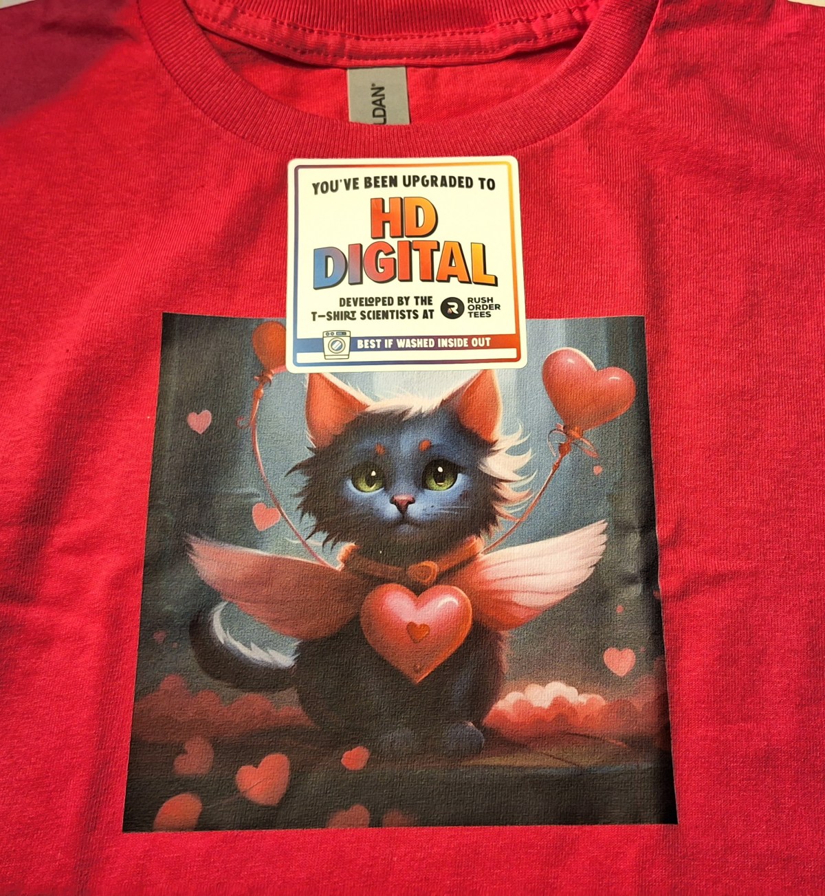 I Made A Custom Cat T-Shirt For My&nbsp;Niece
