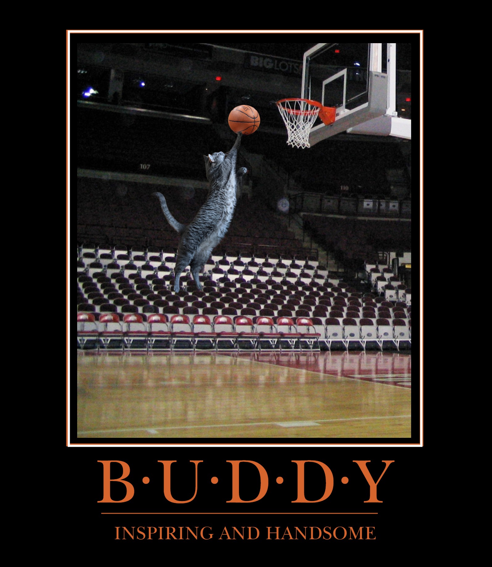 buddyinspiringhandsome