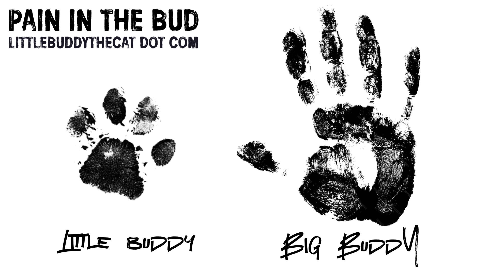 buddies_handprints