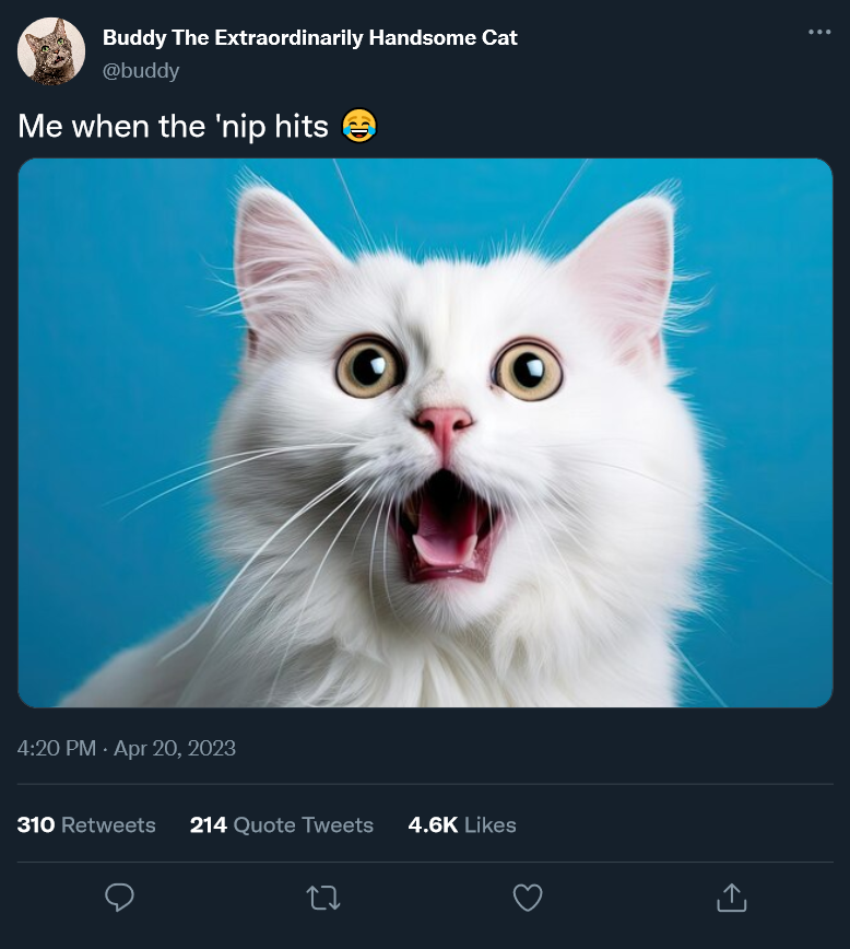 main-qimg-0684929292e309d2d9a6a7e3458260e5