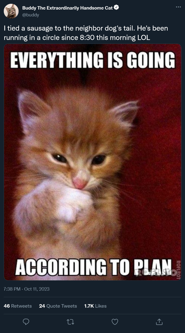 main-qimg-23d1fd1382210063972b0485a0fdb642