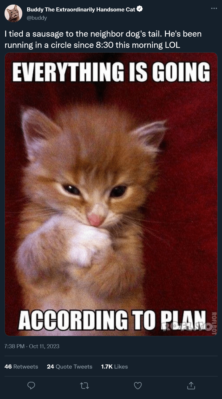 main-qimg-23d1fd1382210063972b0485a0fdb642