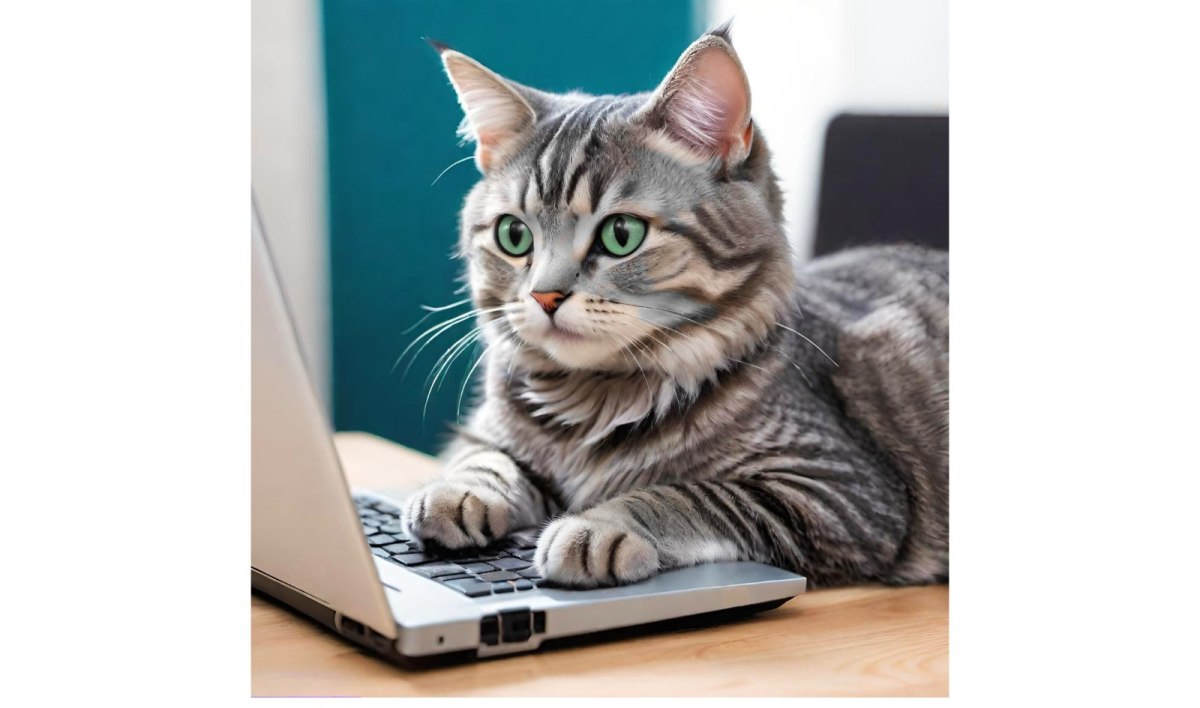 I Never Should Have Gotten An iPad For My Cat&nbsp;II