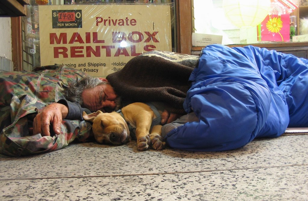 Homeless man and dog