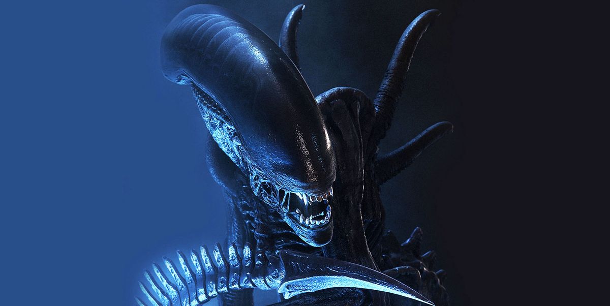 Alien xenomorph