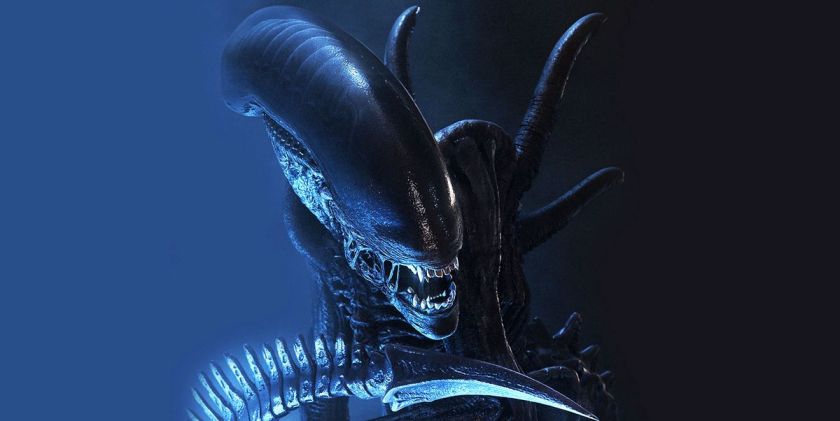 Alien xenomorph