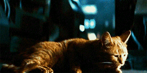 Jonesy on the Nostromo