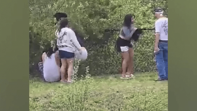 People taking selfies with bear cubs