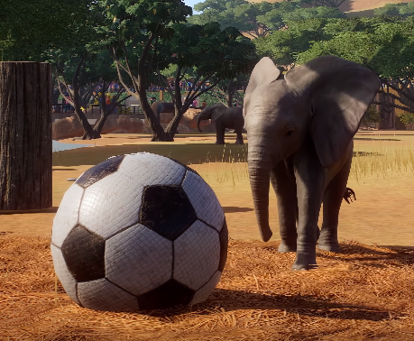 Elephant and ball