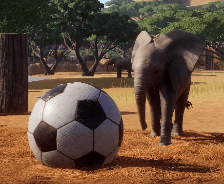 Elephant and ball