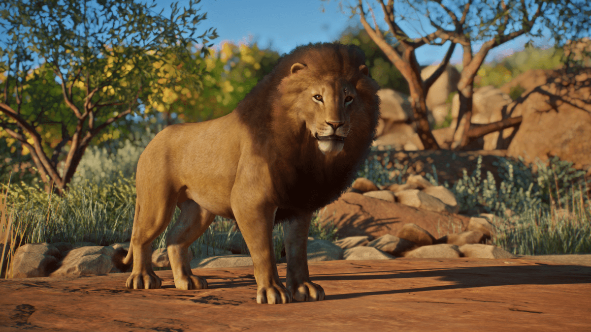 This Is The Zoo Of My&nbsp;Dreams!