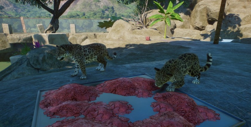 Jaguars