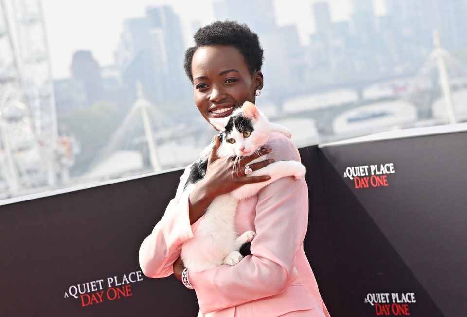 Cat Mom Lupita Nyong’o Takes A Furry Friend To The Red&nbsp;Carpet