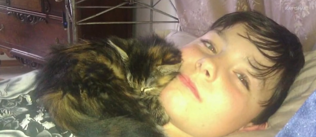 An Amazon Driver Took A Family’s Cat, And Amazon Has Not Been&nbsp;Helpful