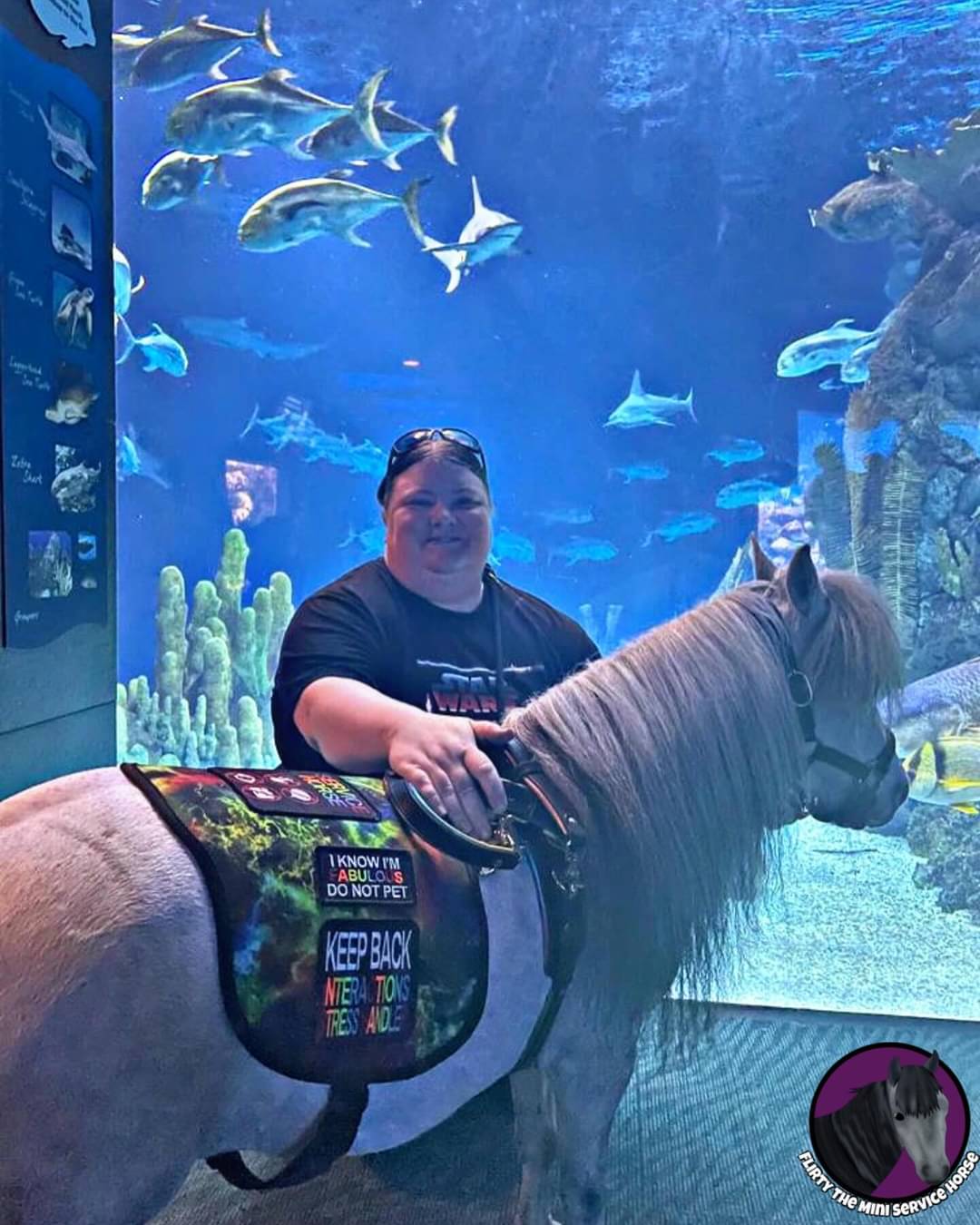 Abrea Hensley with miniature horse