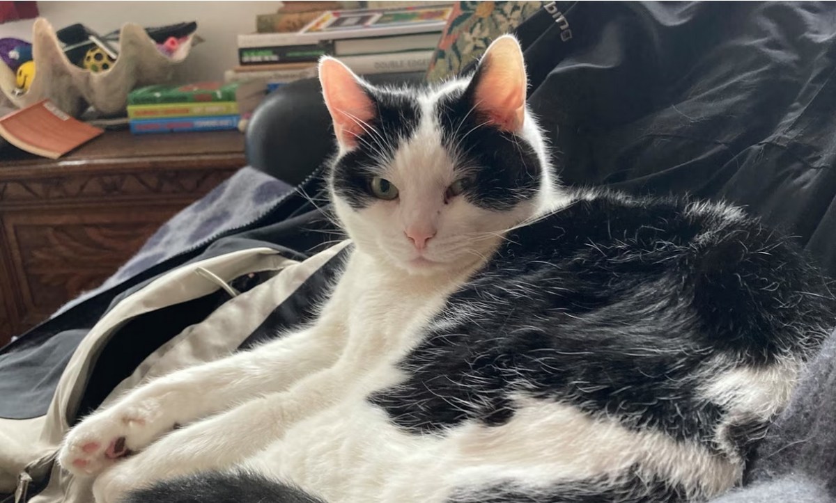 ‘No One Goes Hungry On Our Watch’: A Pet Food Pantry And A Tribute To An Incredible&nbsp;Cat