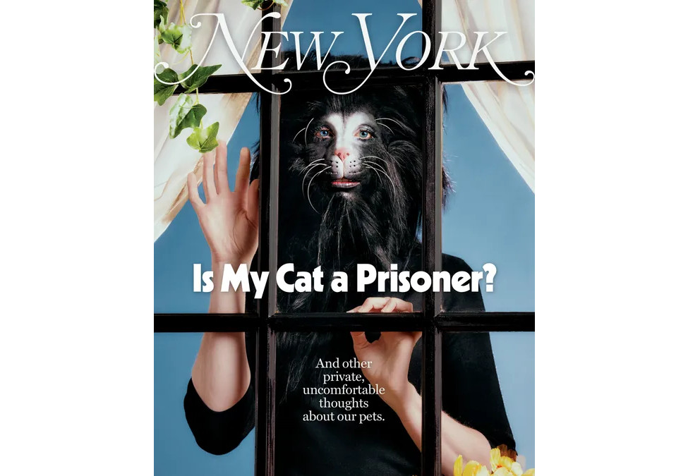 Mag Asks: ‘Is My Cat A Prisoner?’