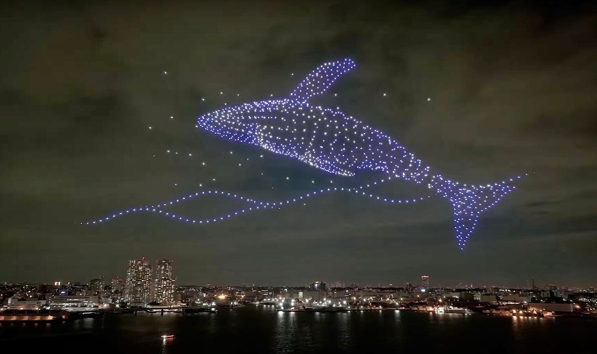 FBI: Felines Behind Mysterious Drones Spotted In Night&nbsp;Sky