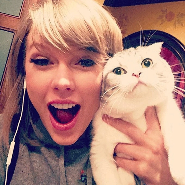 When Cute Is Cruel: Breed Beloved By Celebrities Like Taylor Swift Suffers Painful Genetic&nbsp;Mutation