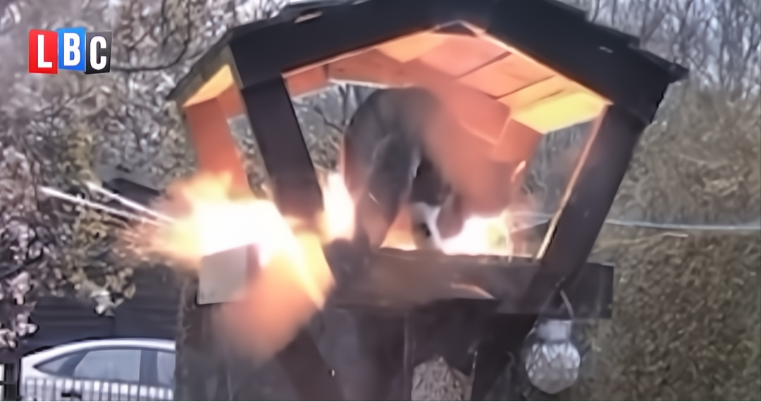 UK Pol Resigns After He Was Filmed Trying To Kill Cat With&nbsp;Explosives