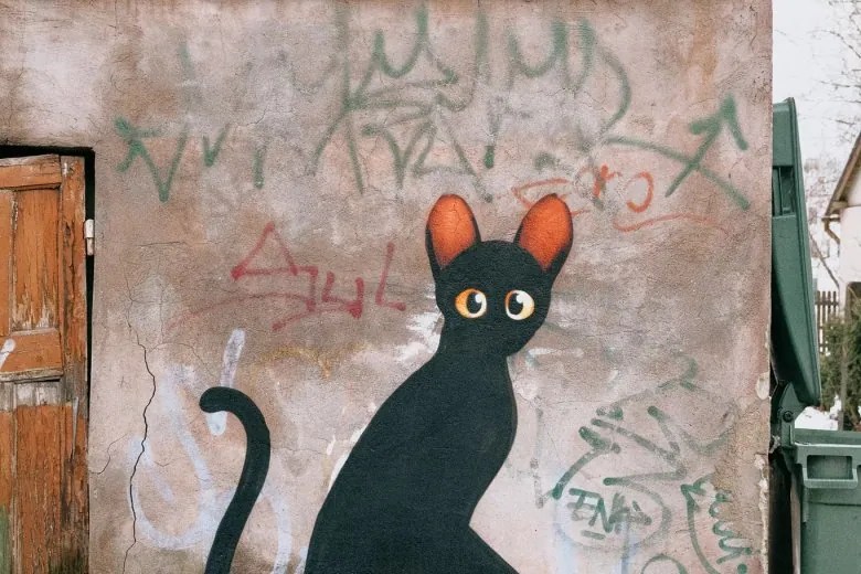 Fearless Cat Forces Bear To Retreat, PLUS: Flow’s Void Sparks Interest In Black&nbsp;Moggies