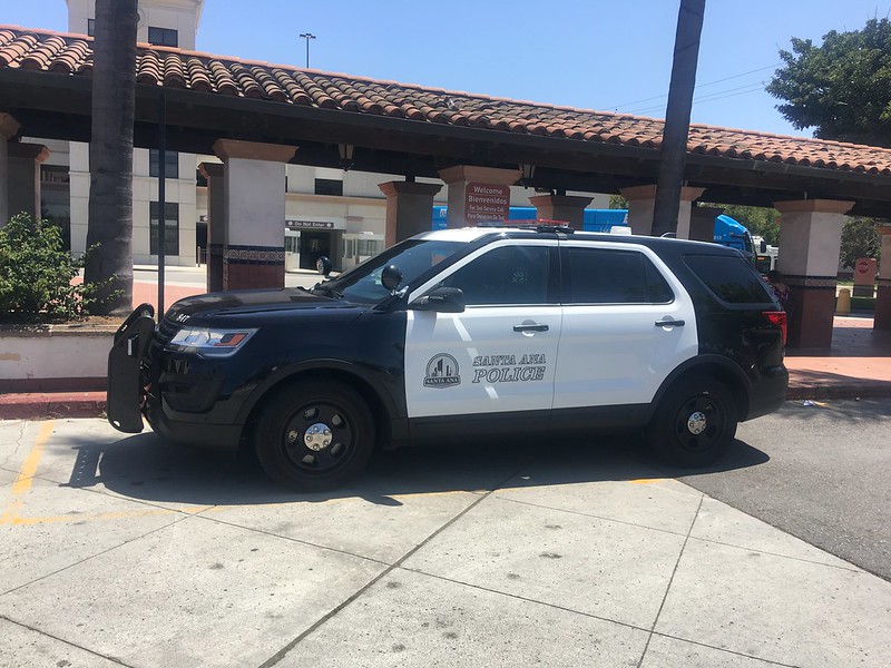 Vigilante Mob Targets Wrong House While Looking For Serial Cat Killer, Plus: Maine Coon Renders Buddy&nbsp;Liliputian!