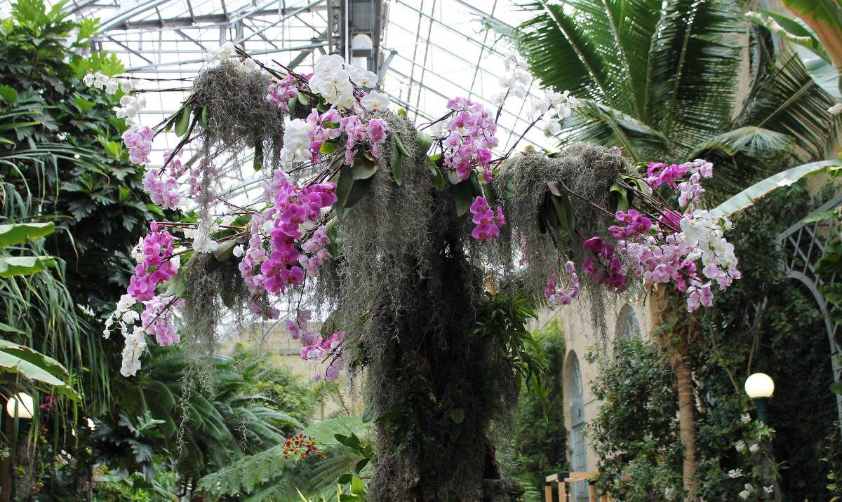 Wordless Wednesday: The United States Botanic&nbsp;Garden