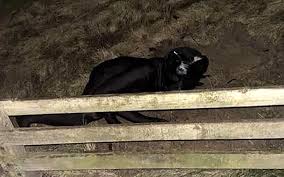 ‘Man In A Panther Costume’ Terrorizing UK Beach&nbsp;Town