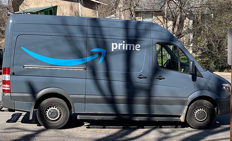 Another Amazon Driver Steals A Customer’s Cat