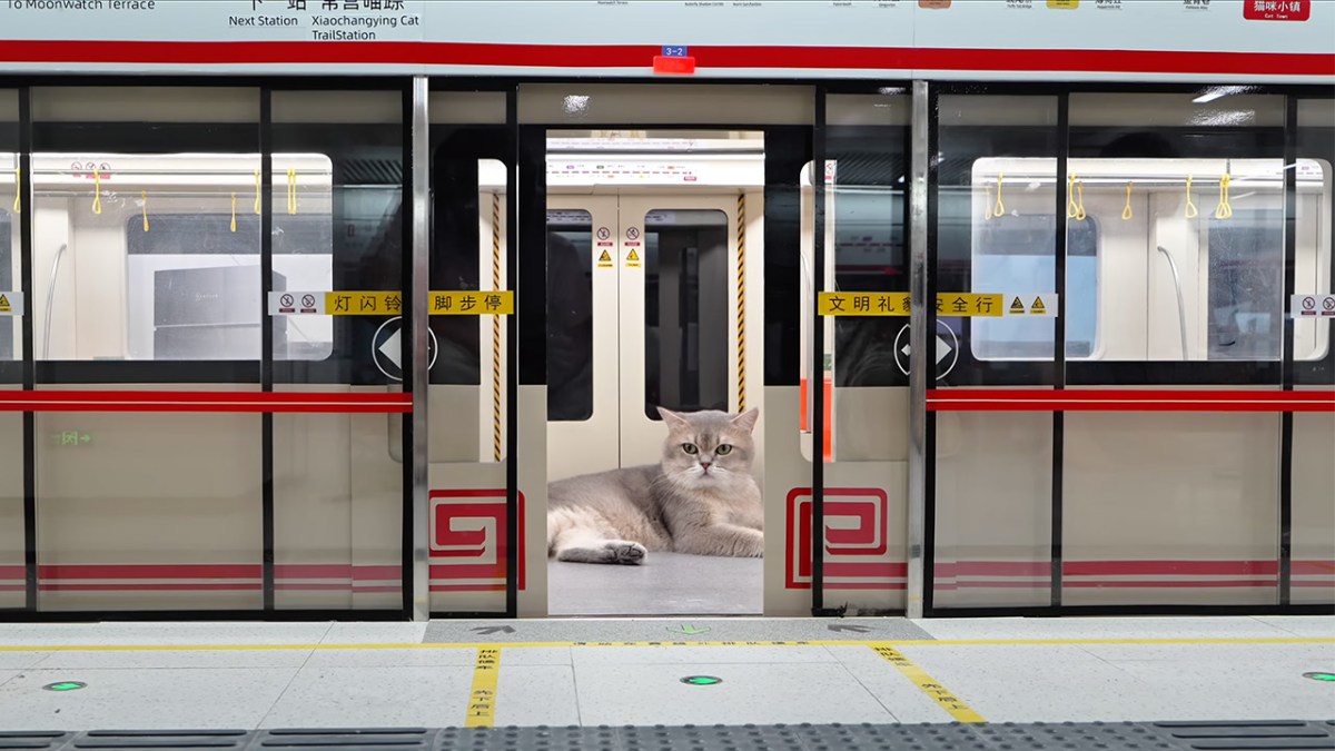 This Dude Built An Entire Subway System For His&nbsp;Cats