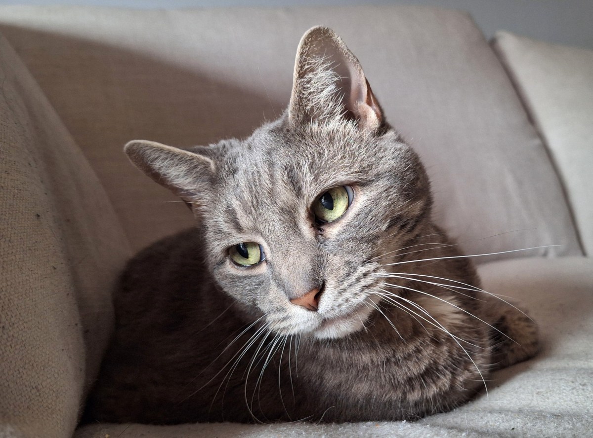 Wordless Wednesday: Loaf Of&nbsp;Bud