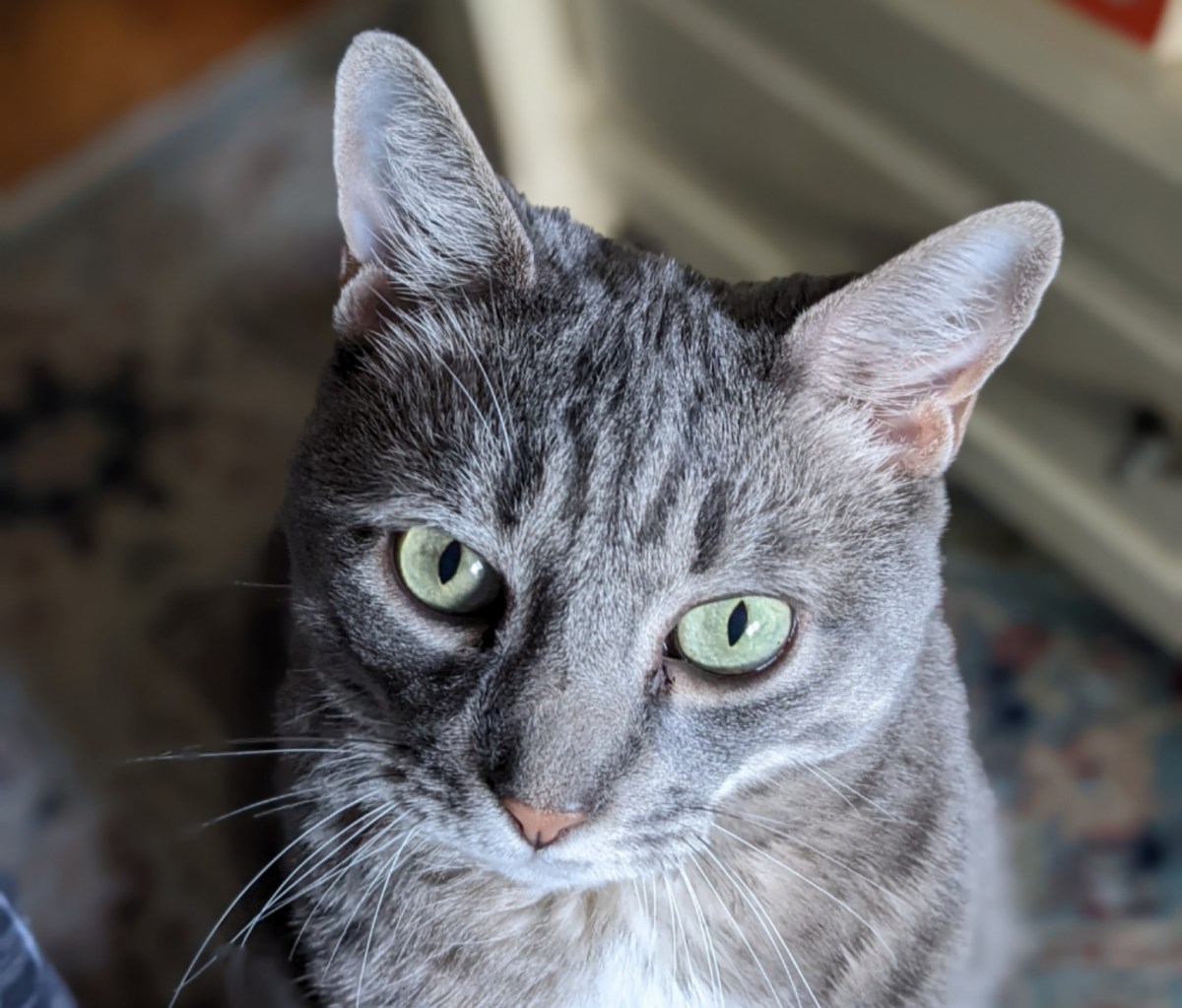 Wordless Wednesday: Le Handsome&nbsp;Club