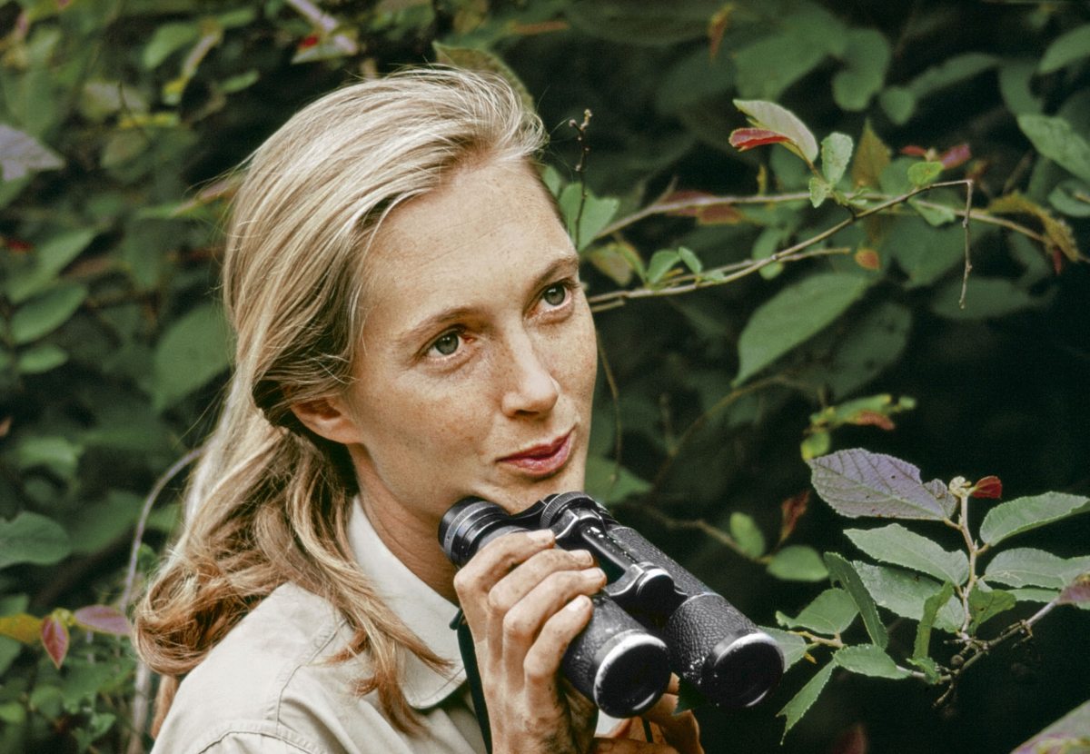 Jane Goodall Forever Changed Our Understanding Of&nbsp;Animals