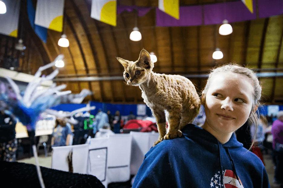 Felines Evaluate Human Looks, Temperament And Behavior At 8th Annual People Fancy&nbsp;Show