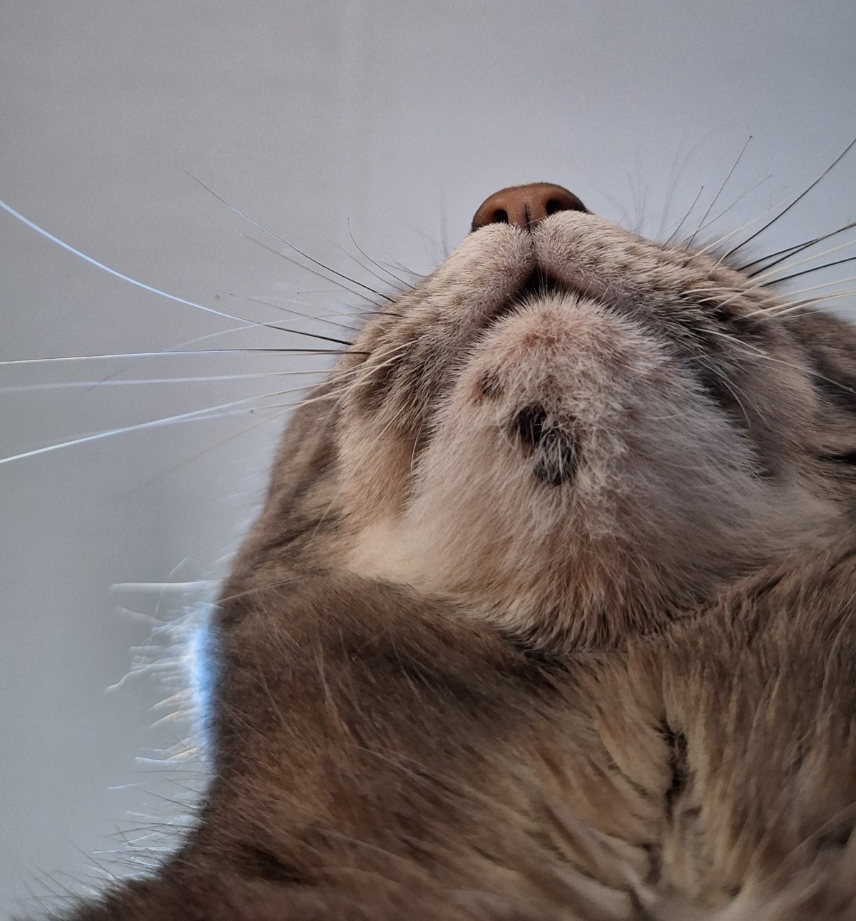 It’s Never Easy With&nbsp;Bud