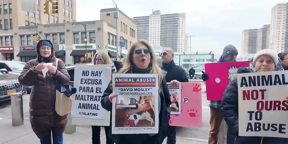 Cops: Wannabe Rapper ‘Ritually Sacrificed’ Cat To Promote&nbsp;Music