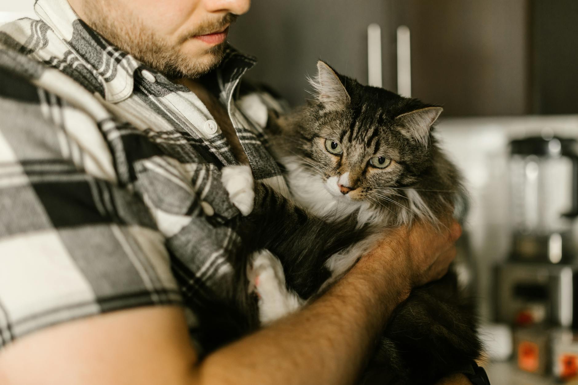 What&rsquo;s With The Stories Claiming Men Don&rsquo;t Bond With Or Listen To Their Feline Buddies?