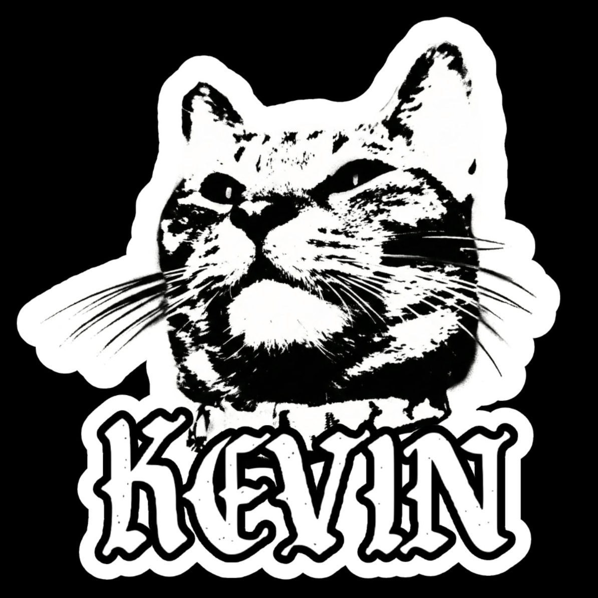Opening Your Heart To A Crazy Cat: The Story Of&nbsp;Kevin