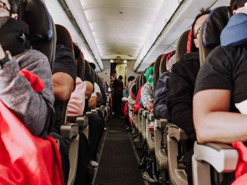 Airline Introduces ‘Fat Tax’: Why Pet Parents Should&nbsp;Care