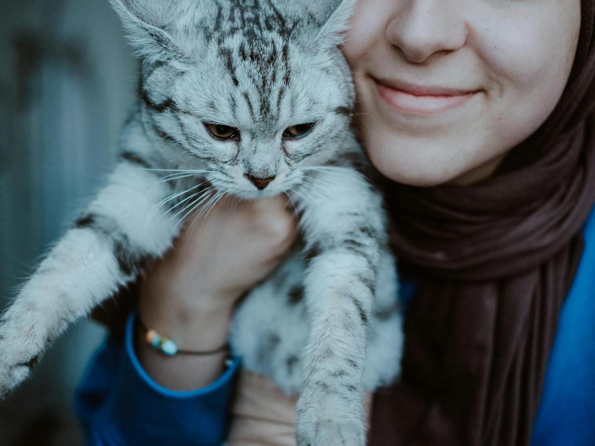 Cat Lady Day: Celebrating The Unsung Heroes Who Improve Life For&nbsp;Felines
